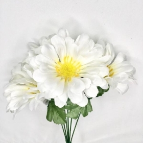 White Zinnia Bush 34cm