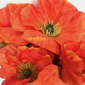 Orange Poppy Bush 35cm