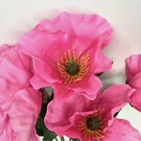 Pink Poppy Bush 35cm