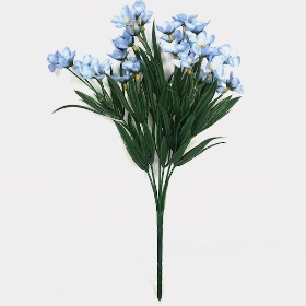 Blue Forget Me Not Bush 32cm