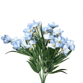 Blue Forget Me Not Bush 32cm