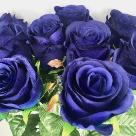 Dark Blue Dark Blue Rose Bush 50cm