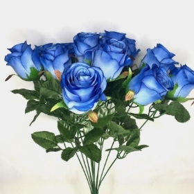 Blue Rose Bush 50cm