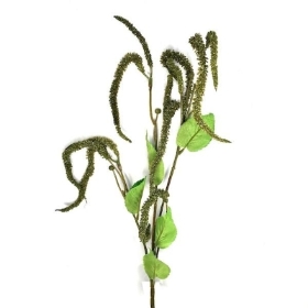 Green Catkin 86cm