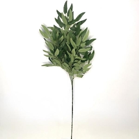 Green Ruscus Stem 72cm