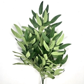 Green Ruscus Stem 72cm