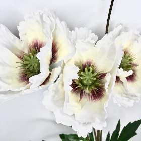 Ivory Oriental Poppy 69cm