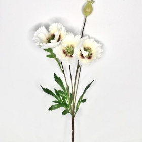 Ivory Oriental Poppy 69cm