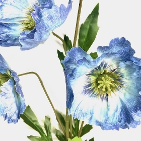 Blue Oriental Poppy 69cm