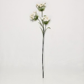 Ivory Fairybell Allium 74cm