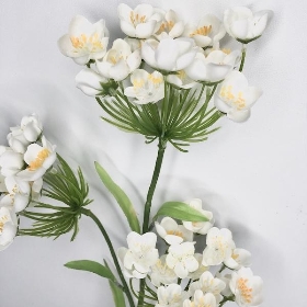 Ivory Fairybell Allium 74cm