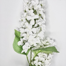 Ivory Panicled Hydrangea 78cm