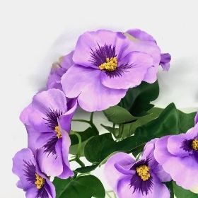 Lilac Pansy Bush 30cm