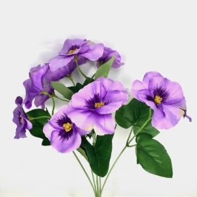 Lilac Pansy Bush 30cm