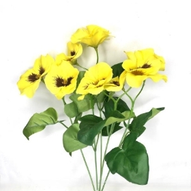 Yellow Pansy Bush 30cm