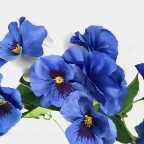 Blue Pansy Bush 30cm