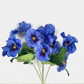 Blue Pansy Bush 30cm