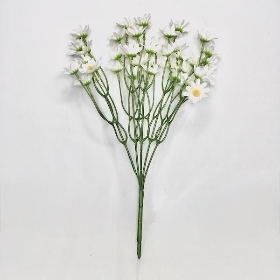 White Summer Daisy Bush 36cm