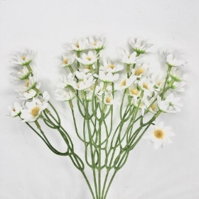 White Summer Daisy Bush 36cm