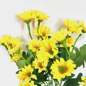 Yellow Mini Daisy Bush 32cm