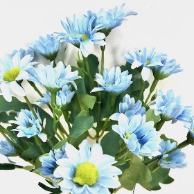 Blue Mini Daisy Bush 32cm