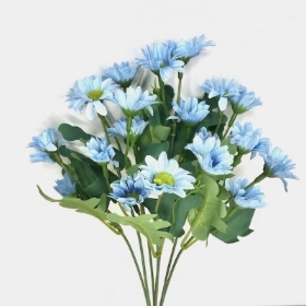 Blue Mini Daisy Bush 32cm