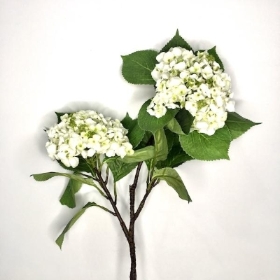 Ivory Imperial Hydrangea 82cm