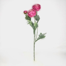 Hot Pink Ranunculus 50cm