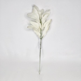 Cream Lambs Ear 37cm