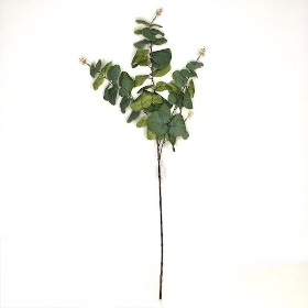 Green Round Leaf Eucalyptus 80cm