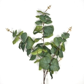 Green Round Leaf Eucalyptus 80cm