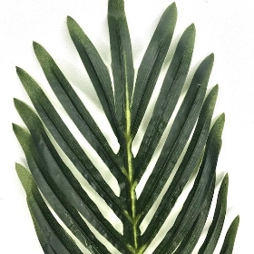 Tropical Palm Stem 62cm