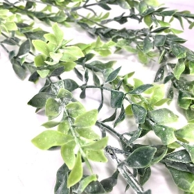 Green Trailing Parvi Eucalyptus 100cm