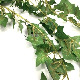 Green Trailing Ivy 80cm