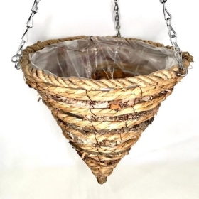 Hugo Cone Hanging Basket 12 Inch