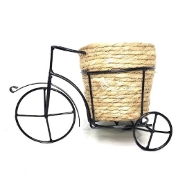 Seagrass Trike Planter 29cm