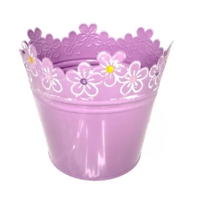 Lilac Pastel Daisy Planter 16cm