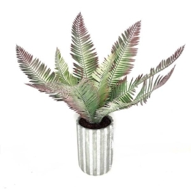 Regal Palm Planter 54cm