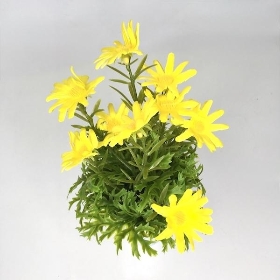 Yellow Daisies in Tin Pot 27cm