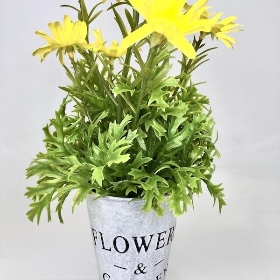 Yellow Daisies in Tin Pot 27cm