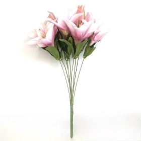 Pink Lily Bush 50cm