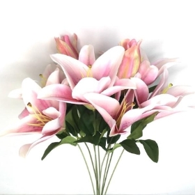 Pink Lily Bush 50cm