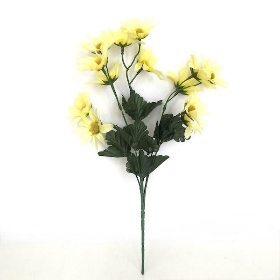 Yellow Marguerite Bush 36cm