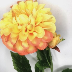 Pink-Yellow Dahlia 59cm