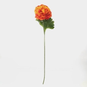 Orange Ranunculus 55cm