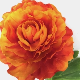 Orange Ranunculus 55cm