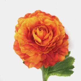 Orange Ranunculus 55cm