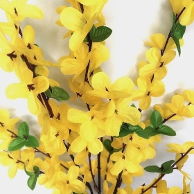 Yellow Forsythia Stem 64cm