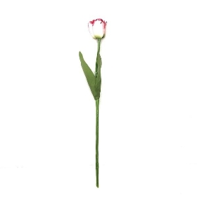 White Burgundy Tulip 51cm