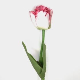 White Burgundy Tulip 51cm